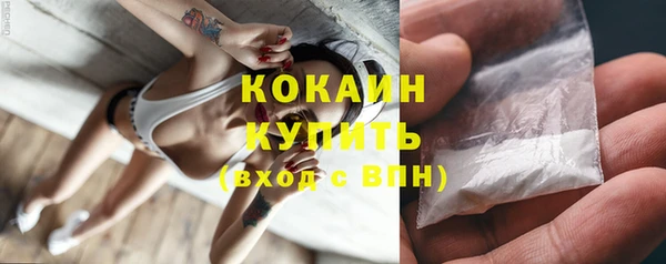 PSILOCYBIN Аркадак