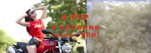 прущие грибы Арсеньев