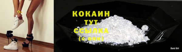 прущие грибы Арсеньев