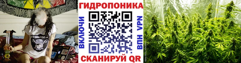 МАРИХУАНА OG Kush  купить   Приозерск 